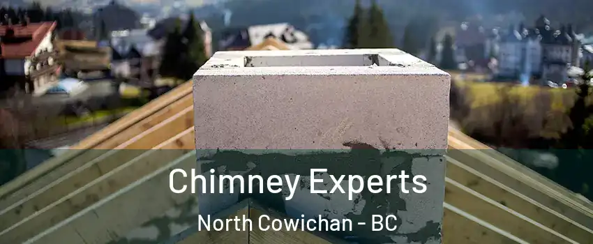 Chimney Experts North Cowichan - BC
