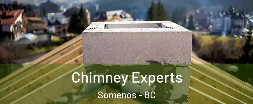 Chimney Experts Somenos - BC