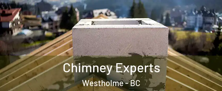 Chimney Experts Westholme - BC