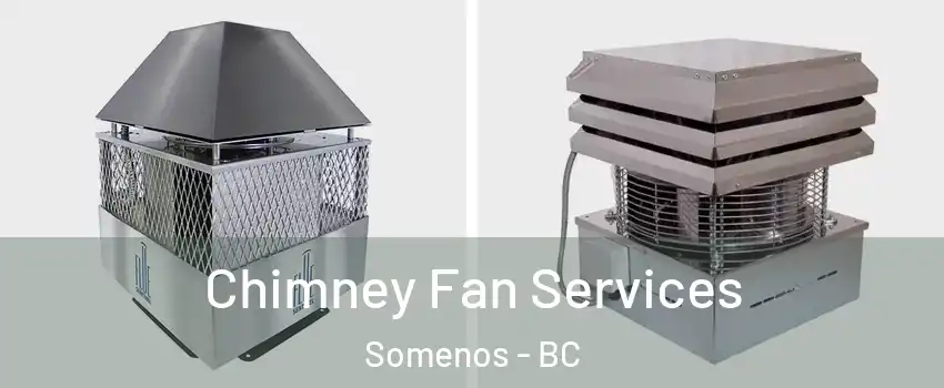  Chimney Fan Services Somenos - BC