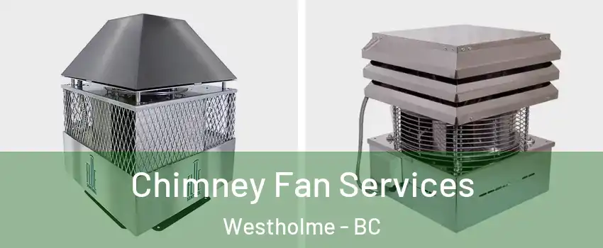  Chimney Fan Services Westholme - BC