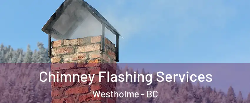Chimney Flashing Services Westholme - BC