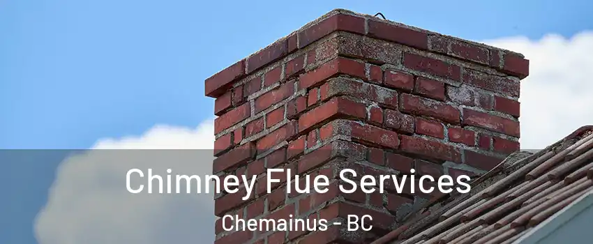  Chimney Flue Services Chemainus - BC