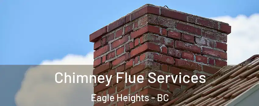  Chimney Flue Services Eagle Heights - BC