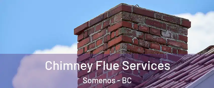  Chimney Flue Services Somenos - BC
