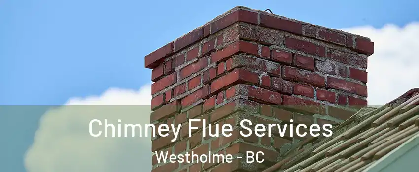  Chimney Flue Services Westholme - BC