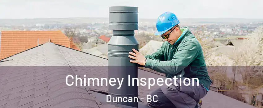  Chimney Inspection Duncan - BC