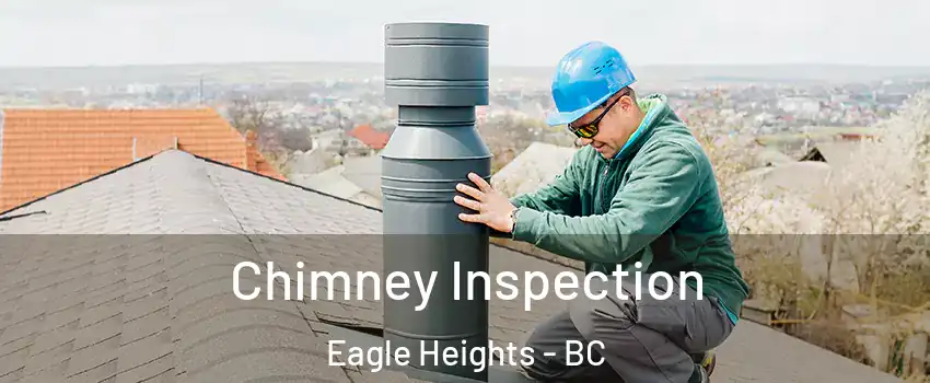  Chimney Inspection Eagle Heights - BC