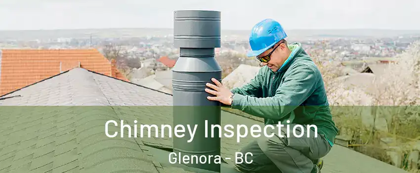  Chimney Inspection Glenora - BC