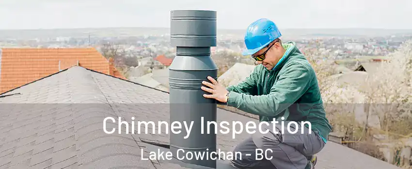  Chimney Inspection Lake Cowichan - BC