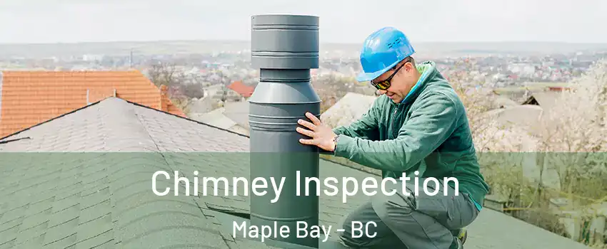  Chimney Inspection Maple Bay - BC