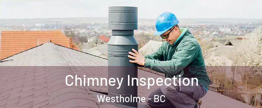  Chimney Inspection Westholme - BC
