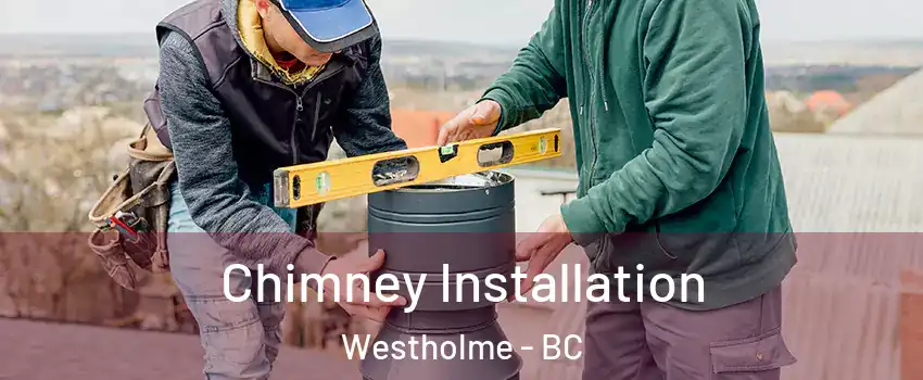  Chimney Installation Westholme - BC