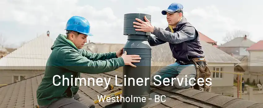  Chimney Liner Services Westholme - BC