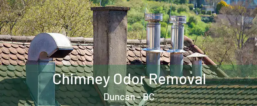  Chimney Odor Removal Duncan - BC