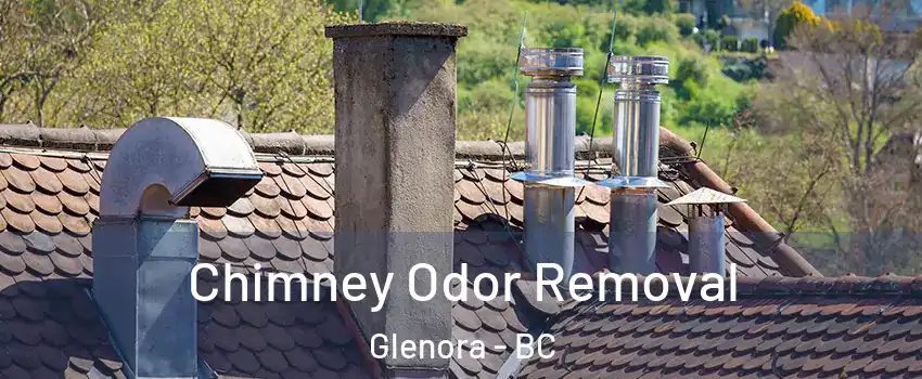  Chimney Odor Removal Glenora - BC