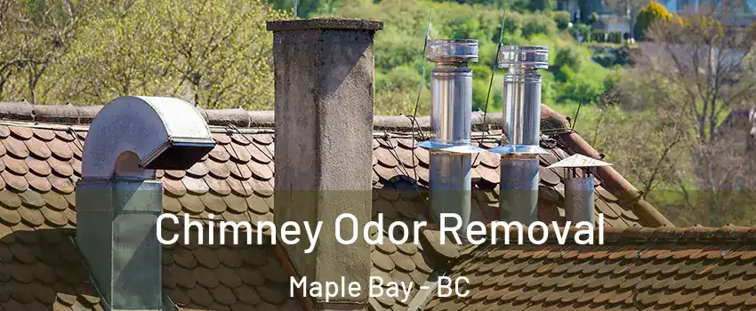 Chimney Odor Removal Maple Bay - BC