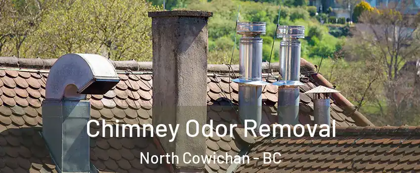  Chimney Odor Removal North Cowichan - BC