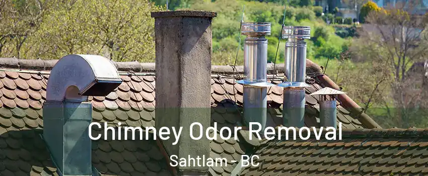  Chimney Odor Removal Sahtlam - BC