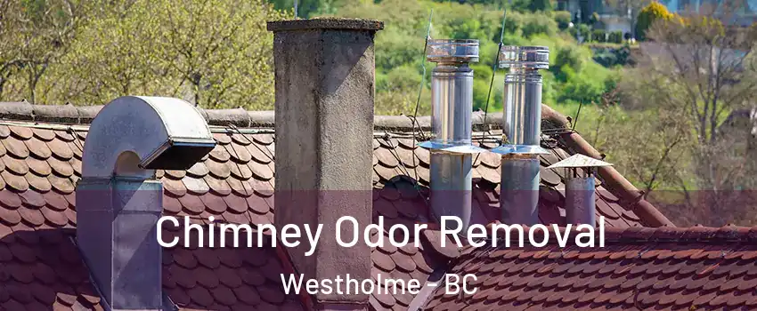  Chimney Odor Removal Westholme - BC