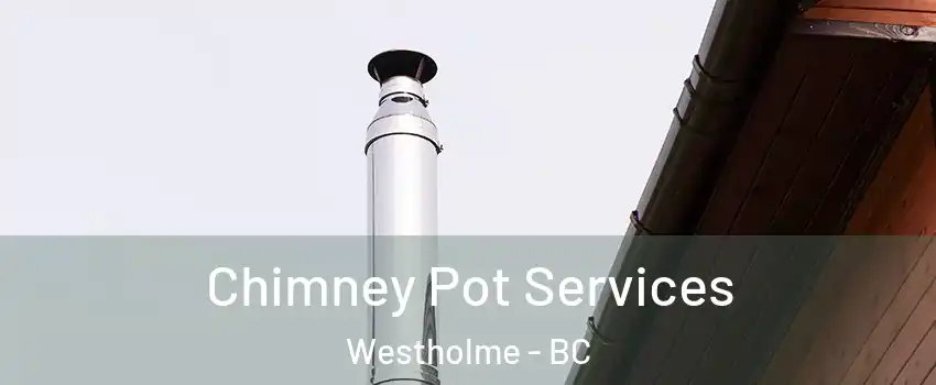 Chimney Pot Services Westholme - BC