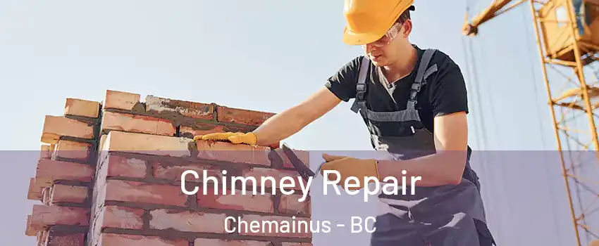  Chimney Repair Chemainus - BC