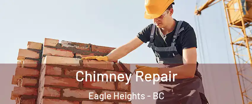  Chimney Repair Eagle Heights - BC