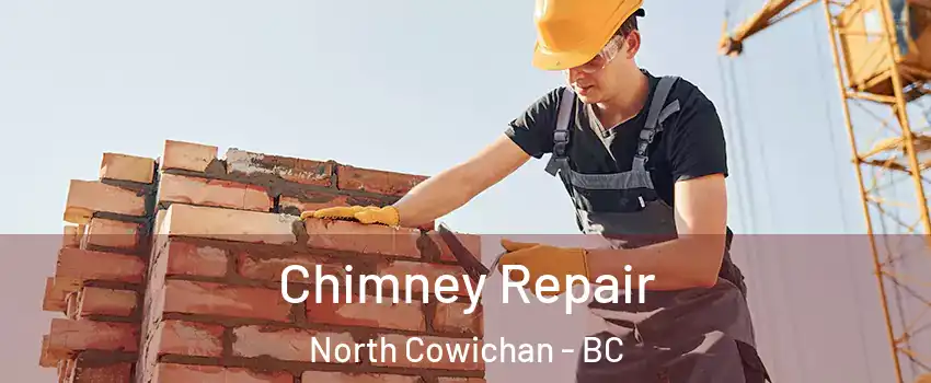  Chimney Repair North Cowichan - BC