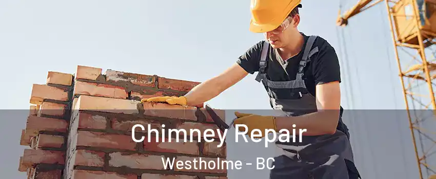  Chimney Repair Westholme - BC