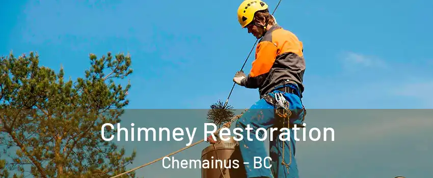  Chimney Restoration Chemainus - BC