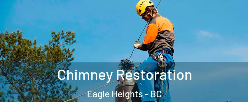  Chimney Restoration Eagle Heights - BC