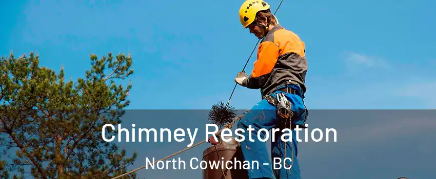  Chimney Restoration North Cowichan - BC