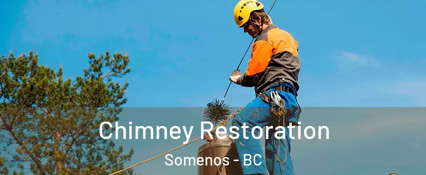  Chimney Restoration Somenos - BC