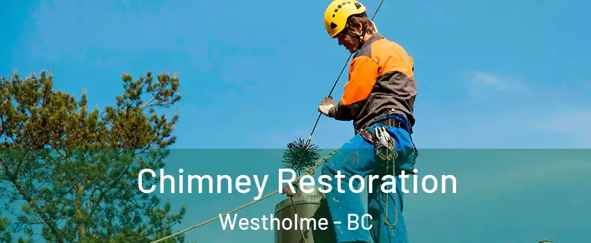  Chimney Restoration Westholme - BC