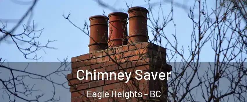  Chimney Saver Eagle Heights - BC