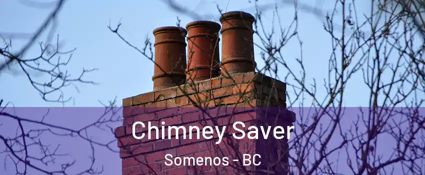  Chimney Saver Somenos - BC