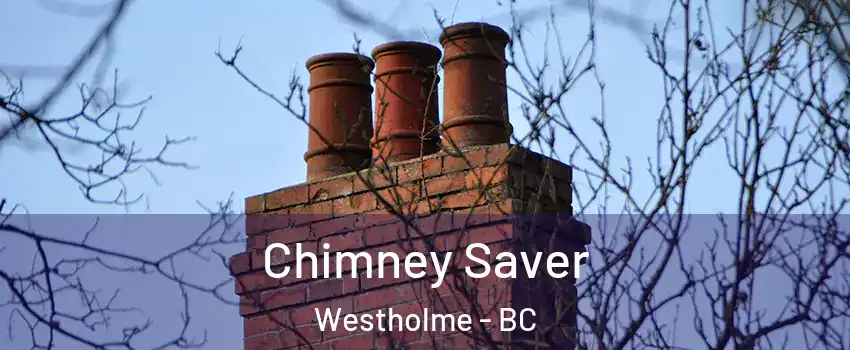  Chimney Saver Westholme - BC