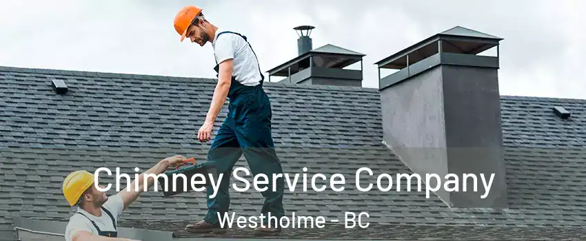  Chimney Service Company Westholme - BC