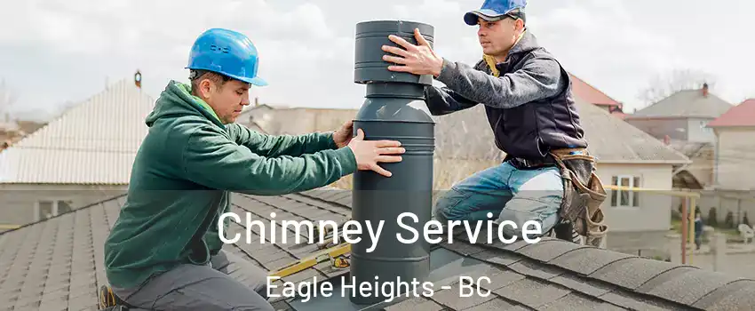  Chimney Service Eagle Heights - BC