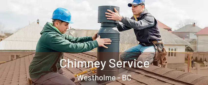  Chimney Service Westholme - BC