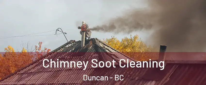  Chimney Soot Cleaning Duncan - BC