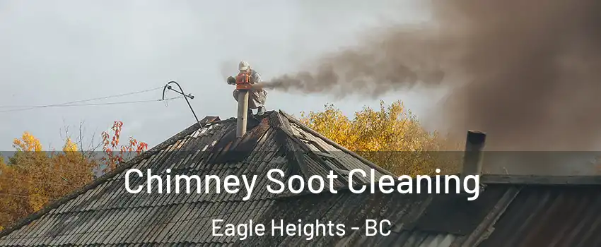  Chimney Soot Cleaning Eagle Heights - BC