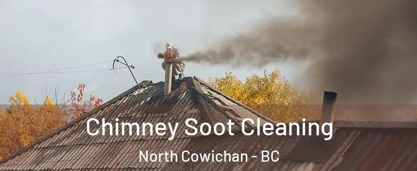 Chimney Soot Cleaning North Cowichan - BC