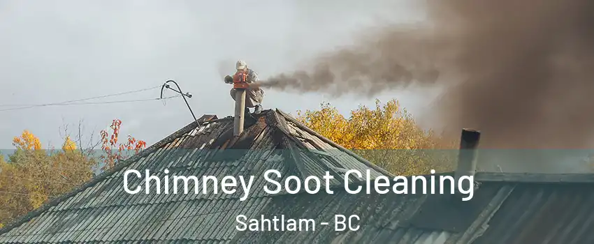  Chimney Soot Cleaning Sahtlam - BC