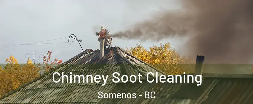  Chimney Soot Cleaning Somenos - BC