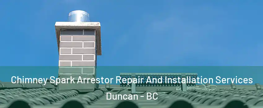  Chimney Spark Arrestor Repair And Installation Services Duncan - BC