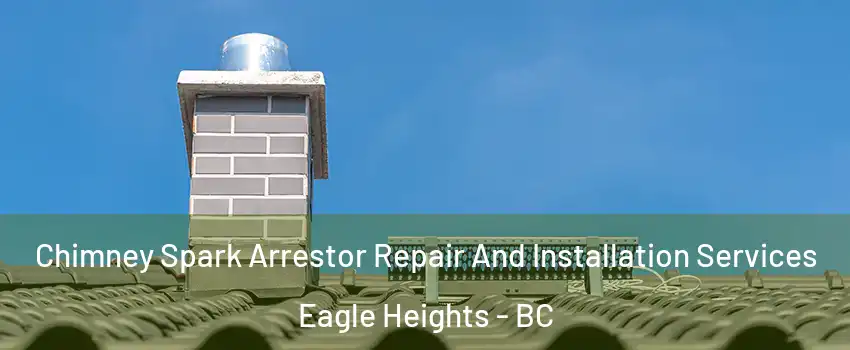 Chimney Spark Arrestor Repair And Installation Services Eagle Heights - BC