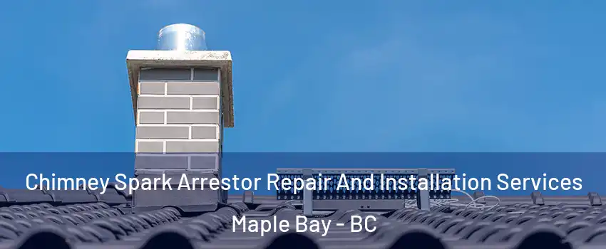  Chimney Spark Arrestor Repair And Installation Services Maple Bay - BC