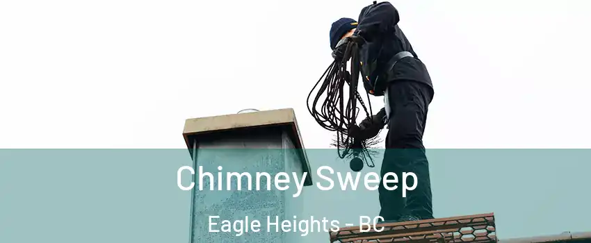  Chimney Sweep Eagle Heights - BC
