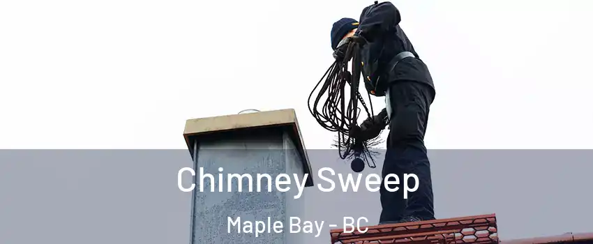  Chimney Sweep Maple Bay - BC
